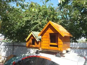 Cusca caine din lemn izolata