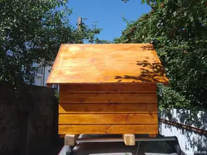 Cusca caine din lemn izolata - imagine 3