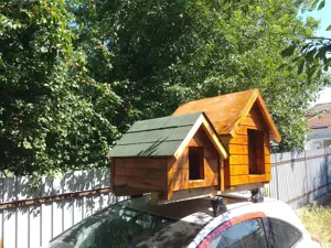 Cusca caine din lemn izolata - imagine 5