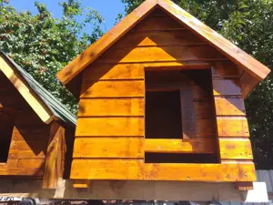 Cusca caine din lemn izolata - imagine 4