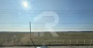 Gageni, casa care inseamna acasa, zona linistita, teren generos - imagine 4