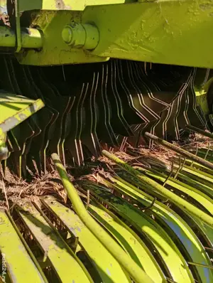 Claas Rollant 46, plasa si 2 ate, tocator, pickup mare, balot 120*120, gresare automata - imagine 5