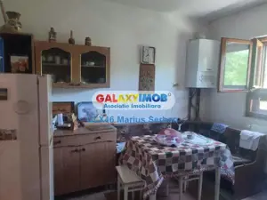 Vanzare casa de vacanta Valea Lunga Dambovita - imagine 8