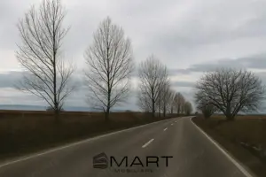 Teren intravilan 10.000mp la drum Calea Surii Mici