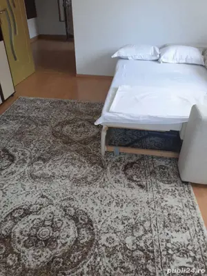 prestez servicii curatenie - imagine 2