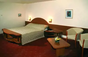 Zona Pta Victoriei, Hotel 4 stele, cu restaurant si crama,comision 0 - imagine 2