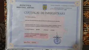 Vinzare societate comerciala