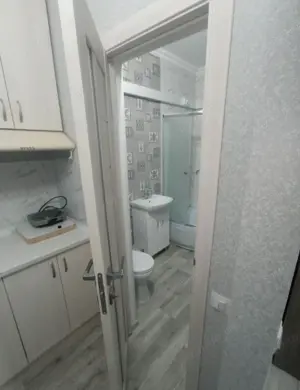 inchiriere garsoniera parc Sebastian - imagine 6