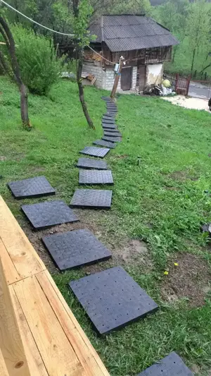 Vând casă bătrânească in Berevoiesti Arges - imagine 7