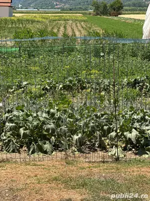 De  VANZARE Casa si teren - imagine 2