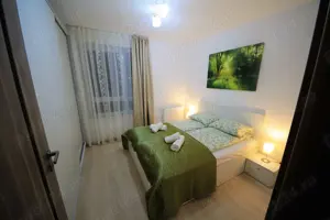 Proprietar - Inchiriez apartament 2 camere - Cal Aradului - imagine 3