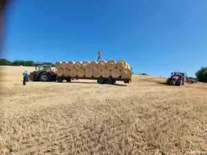 baloti paie grau - orz - imagine 2