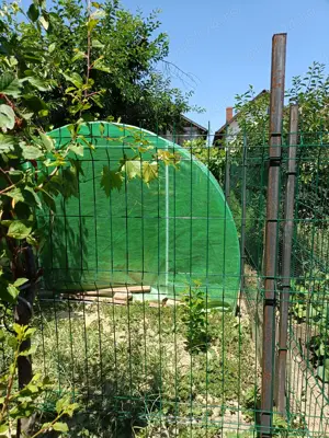 Vind casa cu teren - imagine 6