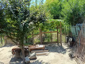 Vind casa cu teren - imagine 7