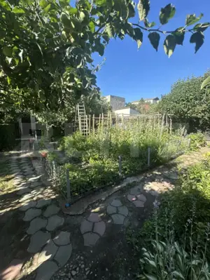 Casa plan parter 170 mp, zona Micro 17 - imagine 16