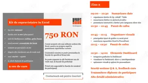 Consultanta Excel, meditatii Excel si curs Excel online de la 40 EUR pe ora - imagine 5