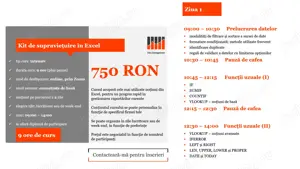 Consultanta Excel, meditatii Excel si curs Excel online de la 40 EUR pe ora - imagine 4