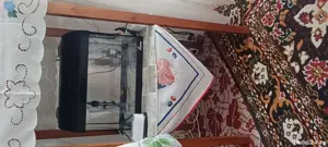 Vind Pești Exotici & Acvariu 35L - imagine 3 Vind Pești Exotici & Acvariu 35L - imagine 3