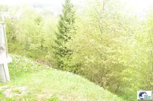 Teren situat in Predeal