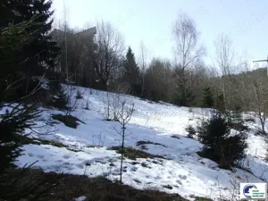 Teren situat in Predeal - imagine 8