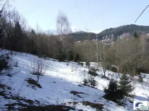 Teren situat in Predeal - imagine 4