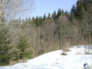 Teren situat in Predeal - imagine 7