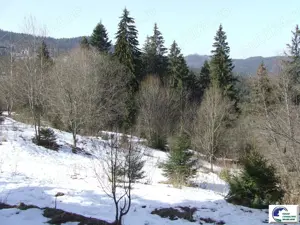 Teren situat in Predeal - imagine 9