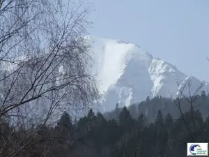 Teren situat in Predeal - imagine 5