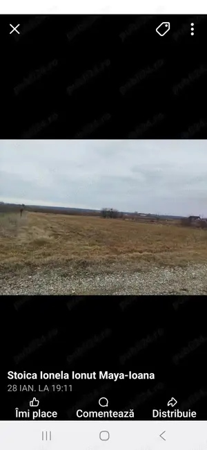 Teren de vinzare gradistea