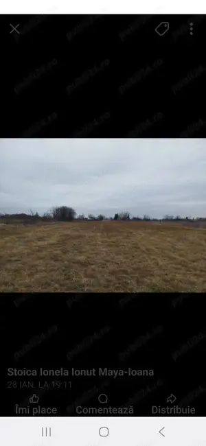 Teren de vinzare gradistea - imagine 2