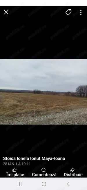 Teren de vinzare gradistea - imagine 3