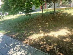 Teren ultracentral Bd. Mamaia - imagine 9