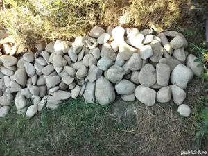  cabana din pădure - imagine 4