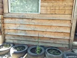  cabana din pădure - imagine 3