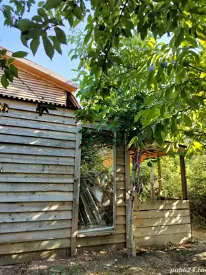  cabana din pădure - imagine 2