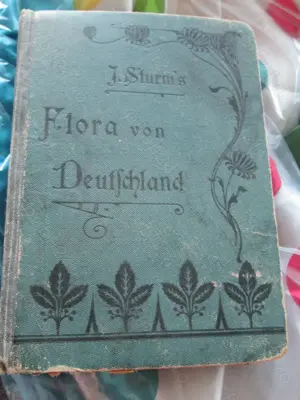 1905  Flora  Germaniei - Lb germana