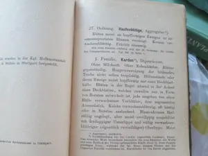 1905  Flora  Germaniei - Lb germana - imagine 2