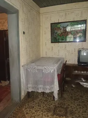 Casa batraneasca Bradeanu - imagine 6