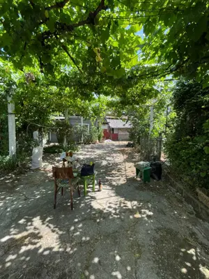 Casa de vanzare - Husasau de Tinca, judetul Bihor - imagine 4