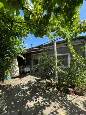 Casa de vanzare - Husasau de Tinca, judetul Bihor - imagine 2