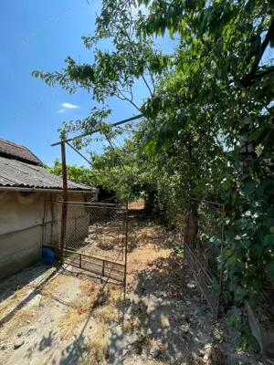 Casa de vanzare - Husasau de Tinca, judetul Bihor - imagine 3