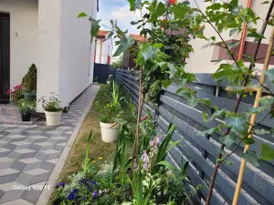 Casă de vanzare Bartolomeu, Brasov 310.000 Euro - imagine 9