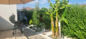 PROPRIETAR, vând jumatate de duplex, Dumbrăvița,Timiș  - imagine 10