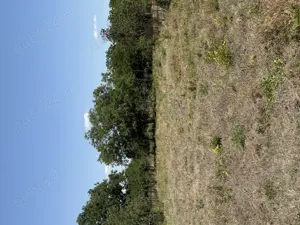 Vand teren intravilan in Vinga - imagine 2