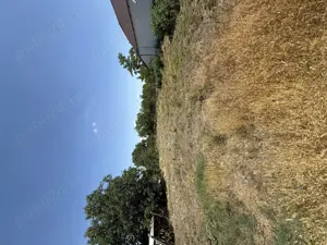 Vand teren intravilan in Vinga - imagine 3