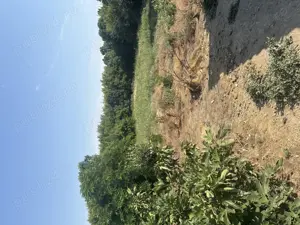 Vând casă în sat pătlăgeanca jud tulcea - imagine 3