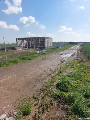 Teren Dragomiresti Vale. - imagine 2