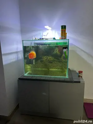 vand acvariu  - imagine 2