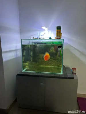vand acvariu  - imagine 4