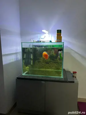 vand acvariu  - imagine 5